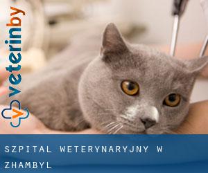 Szpital weterynaryjny w Zhambyl