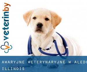 Awaryjne weterynaryjne w Aledo (Illinois)