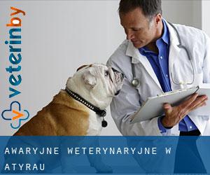 Awaryjne weterynaryjne w Atyraū Awaryjne weterynaryjne w Atyraū