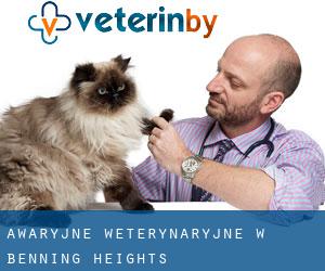 Awaryjne weterynaryjne w Benning Heights