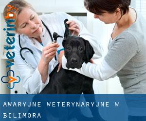 Awaryjne weterynaryjne w Bilimora Awaryjne weterynaryjne w Bilimora