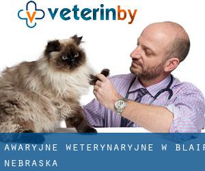 Awaryjne weterynaryjne w Blair (Nebraska)