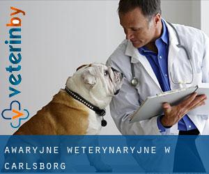 Awaryjne weterynaryjne w Carlsborg Awaryjne weterynaryjne w Carlsborg