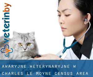 Awaryjne weterynaryjne w Charles-Le Moyne (census area)
