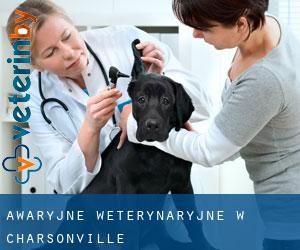 Awaryjne weterynaryjne w Charsonville