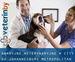 Awaryjne weterynaryjne w City of Johannesburg Metropolitan Municipality przez gmina - strona 1