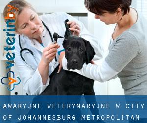 Awaryjne weterynaryjne w City of Johannesburg Metropolitan Municipality