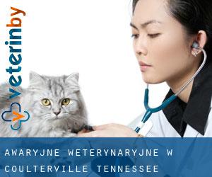 Awaryjne weterynaryjne w Coulterville (Tennessee)