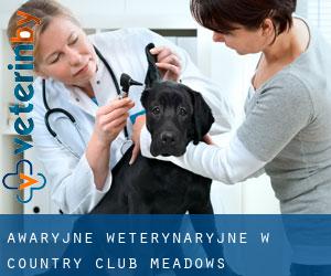 Awaryjne weterynaryjne w Country Club Meadows