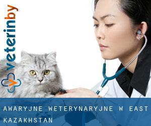 Awaryjne weterynaryjne w East Kazakhstan