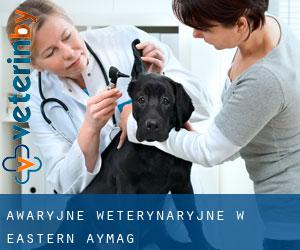 Awaryjne weterynaryjne w Eastern Aymag