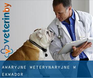 Awaryjne weterynaryjne w Ekwador Awaryjne weterynaryjne w Ekwador