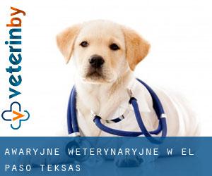 Awaryjne weterynaryjne w El Paso (Teksas) Awaryjne weterynaryjne w El Paso (Teksas)
