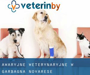 Awaryjne weterynaryjne w Garbagna Novarese