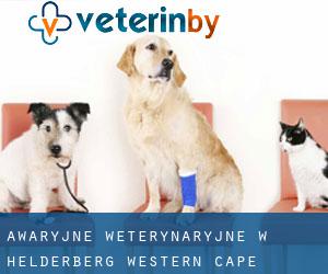 Awaryjne weterynaryjne w Helderberg (Western Cape)