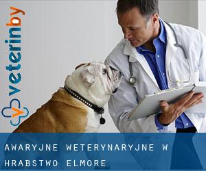 Awaryjne weterynaryjne w Hrabstwo Elmore Awaryjne weterynaryjne w Hrabstwo Elmore
