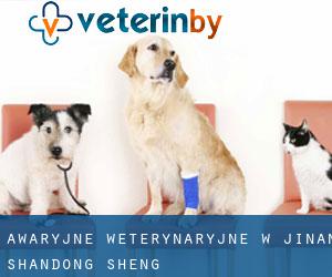 Awaryjne weterynaryjne w Jinan (Shandong Sheng) Awaryjne weterynaryjne w Jinan (Shandong Sheng)