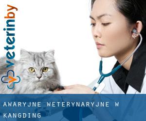 Awaryjne weterynaryjne w Kangding Awaryjne weterynaryjne w Kangding