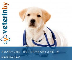 Awaryjne weterynaryjne w Marmagao Awaryjne weterynaryjne w Marmagao