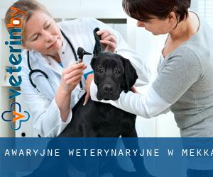 Awaryjne weterynaryjne w Mekka Awaryjne weterynaryjne w Mekka