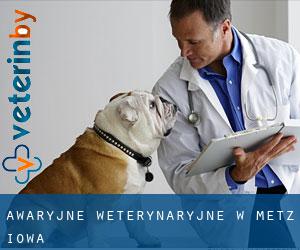 Awaryjne weterynaryjne w Metz (Iowa)