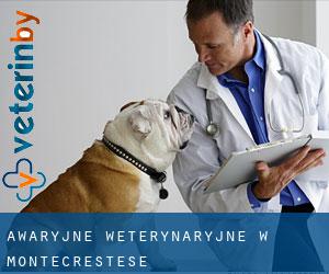 Awaryjne weterynaryjne w Montecrestese