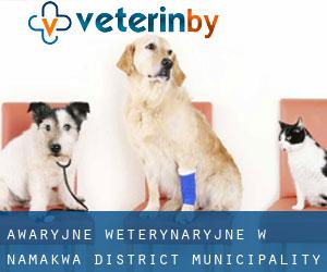 Awaryjne weterynaryjne w Namakwa District Municipality