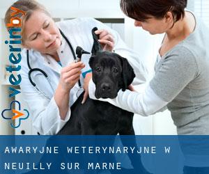 Awaryjne weterynaryjne w Neuilly-sur-Marne