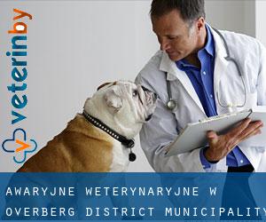 Awaryjne weterynaryjne w Overberg District Municipality przez miasto - strona 1