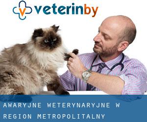 Awaryjne weterynaryjne w Region Metropolitalny