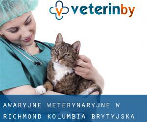 Awaryjne weterynaryjne w Richmond (Kolumbia Brytyjska)