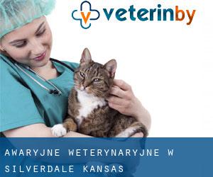 Awaryjne weterynaryjne w Silverdale (Kansas)