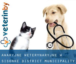Awaryjne weterynaryjne w Sisonke District Municipality przez miasto - strona 1