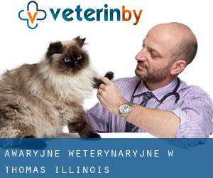 Awaryjne weterynaryjne w Thomas (Illinois)