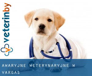 Awaryjne weterynaryjne w Vargas Awaryjne weterynaryjne w Vargas