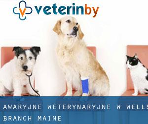 Awaryjne weterynaryjne w Wells Branch (Maine)