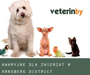 Awaryjne dla zwierzat w Arnsberg District