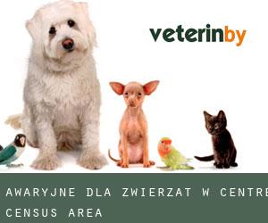 Awaryjne dla zwierzat w Centre (census area)