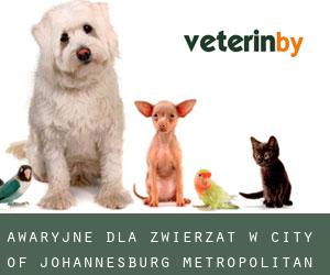 Awaryjne dla zwierzat w City of Johannesburg Metropolitan Municipality