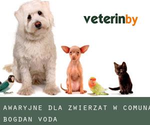 Awaryjne dla zwierzat w Comuna Bogdan Vodă