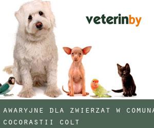 Awaryjne dla zwierzat w Comuna Cocorăştii-Colţ