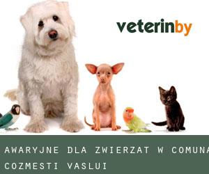 Awaryjne dla zwierzat w Comuna Cozmeşti (Vaslui)