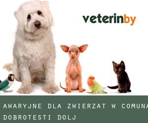 Awaryjne dla zwierzat w Comuna Dobroteşti (Dolj)