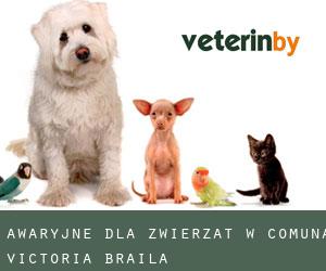 Awaryjne dla zwierzat w Comuna Victoria (Brăila)