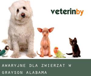 Awaryjne dla zwierzat w Grayson (Alabama)