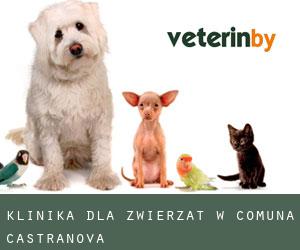 Klinika dla zwierząt w Comuna Castranova
