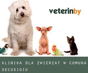 Klinika dla zwierząt w Comuna Secusigiu