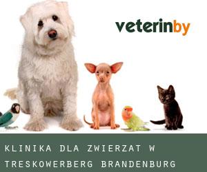 Klinika dla zwierząt w Treskowerberg (Brandenburg)
