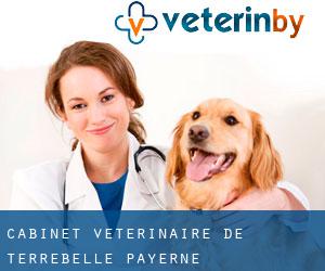 Cabinet vétérinaire de TerreBelle (Payerne)