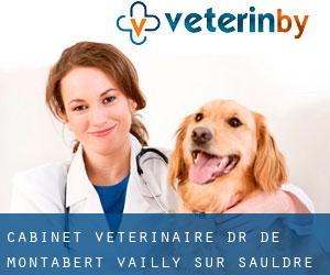 Cabinet Vétérinaire Dr de Montabert (Vailly-sur-Sauldre)